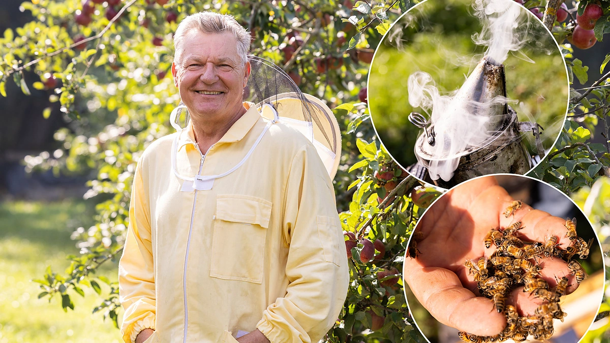 Algirdas Amšiejus | Žmonės.lt