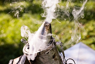 Algirdas Amšiejus / Elijaus Kniežausko nuotrauka