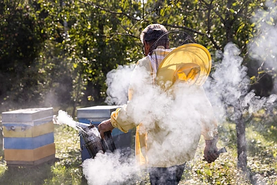 Algirdas Amšiejus / Elijaus Kniežausko nuotrauka