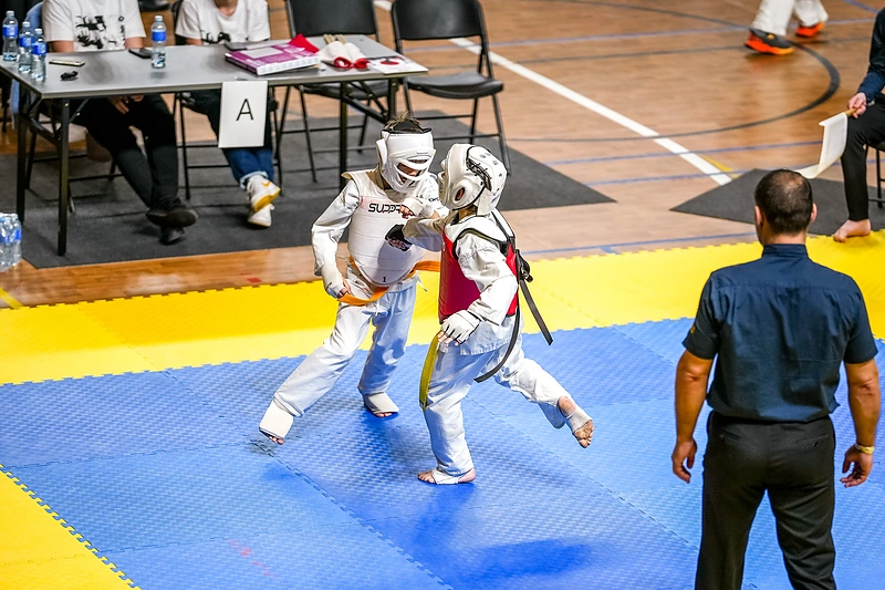 Labdaringas kyokushin karate turnyras / Igno Cemnolonskio nuotr.