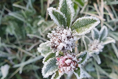 Orai.lt: pirmosios savaitės dienos bus šilčiausios