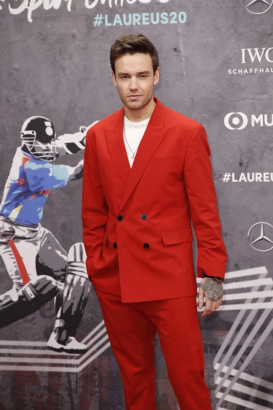 Liamas Payne'as / Vida Press nuotr.