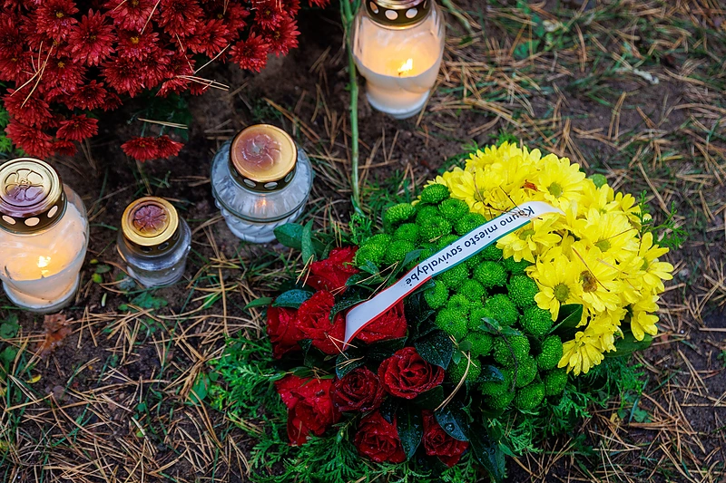 Dalios Teišerskytės kapas / Eriko Ovčarenko / BNS nuotr.