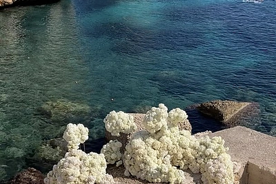 Gretos ir Mariaus Miksių vestuvės Sicilijoje / Asmeninio archyvo nuotr.