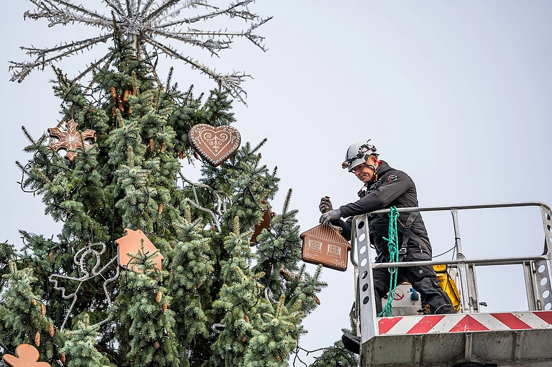 Kauno Kalėdų eglė / Kauno miesto savivaldybės nuotr.