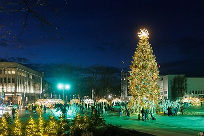 Paslaptis atskleista – paaiškėjo, kiek didieji miestai išleis Kalėdų eglėms