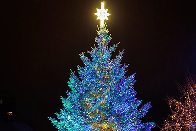 Kalėdų eglė Klaipėdoje / Eriko Ovčarenko / BNS nuotr.