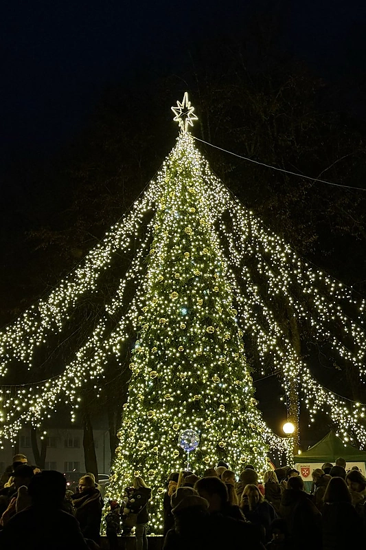 Švenčionių Kalėdų eglė, 2024 m. / Švenčionių rajono savivaldybės nuotr.