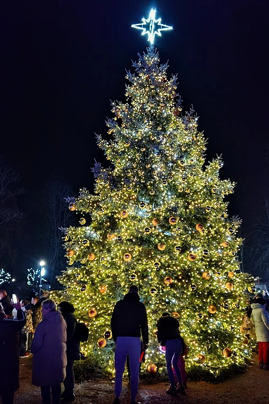 Kalėdų eglės įžiebimas Jurbarke" / Greta Talat-Kelpšaitė nuotr.