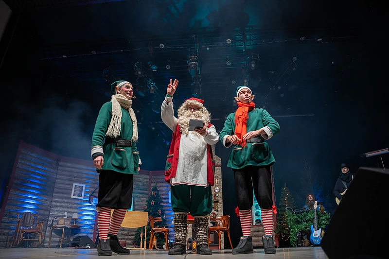 Druskininkų Kalėdų eglutės įžiebimas / Edgaro Tamkevičiaus nuotr.