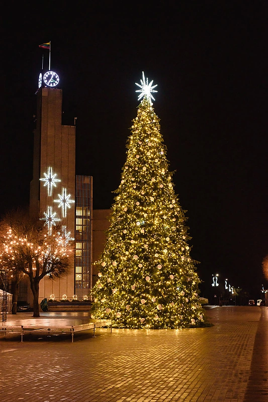 Sužibusi Alytaus kalėdinė eglė