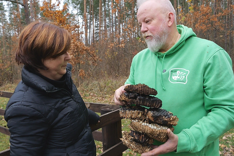 Laidos „Vytaro ferma“ akimirka / TV3 nuotr.