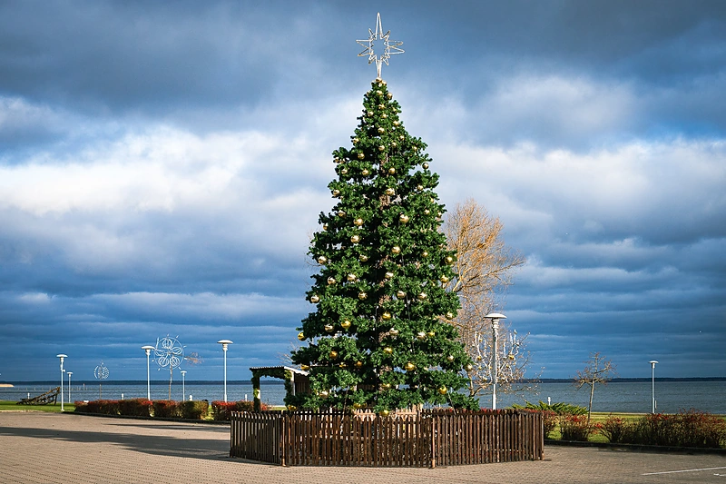 Juodkrantės eglutė / Nendrės Žilinskaitės nuotr.