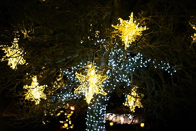 Kalėdų eglutės įsižiebimas Nidoje / Nendrės Žilinskaitės nuotr.