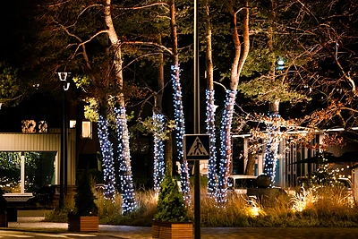 Kalėdų eglutės įsižiebimas Nidoje / Nendrės Žilinskaitės nuotr.