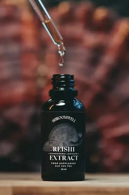 V.Macijauskienė: kuo vertingi adaptogeniniai grybai kasdienėje rutinoje / „Livin“ nuotr.