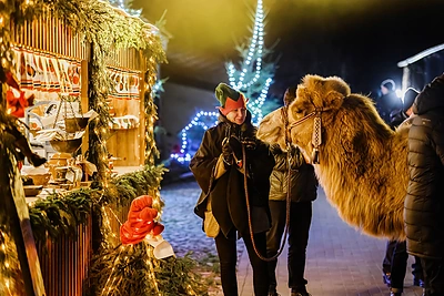 Kur vykti Kalėdiniu laikotarpiu patirti neįtikėtinų nuotykių su šeima? / Pakruojo dvaro nuotr.