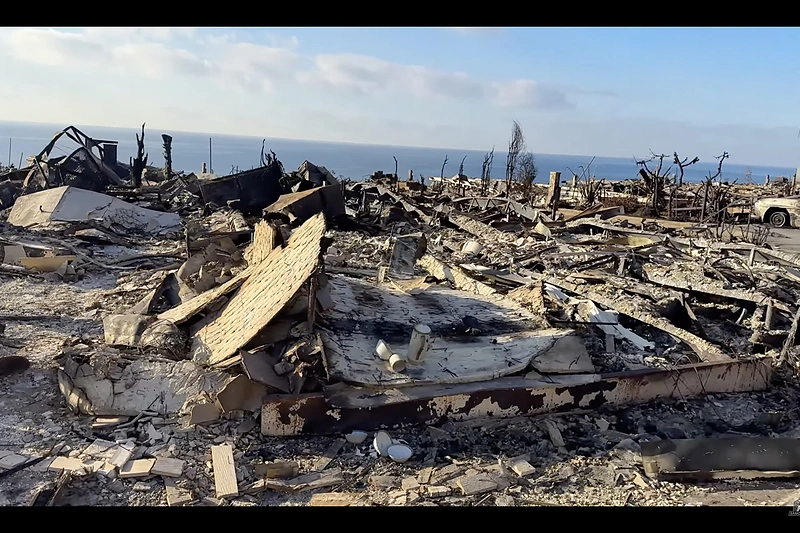 Pauliaus Samoškos kelionė į Los Andželą / stop kadras