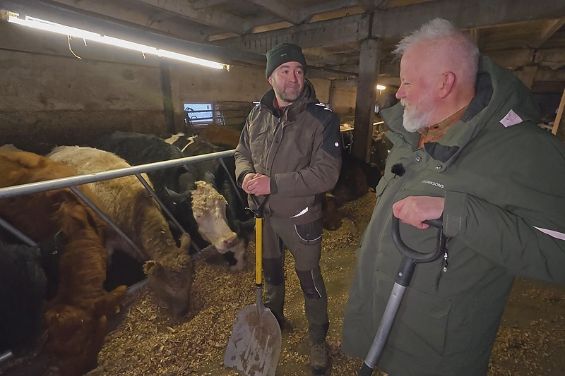 „Vytaro ferma“ / TV3 nuotr.