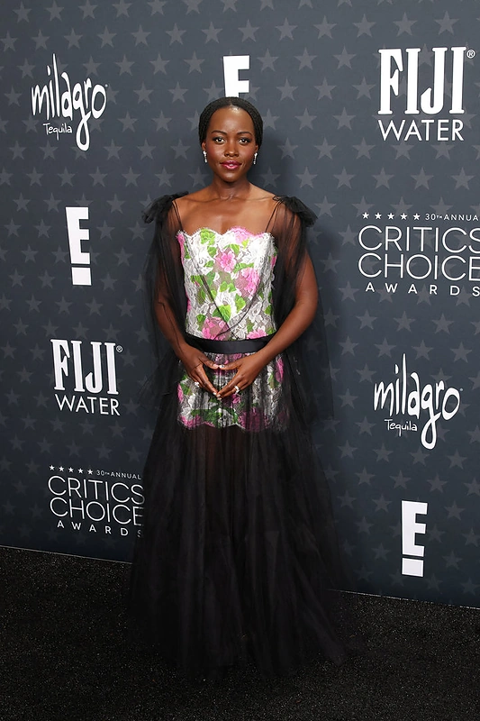 „Kritikų pasirinkimo“ apdovanojimų raudono kilimo svečiai / Scanpix nuotr.