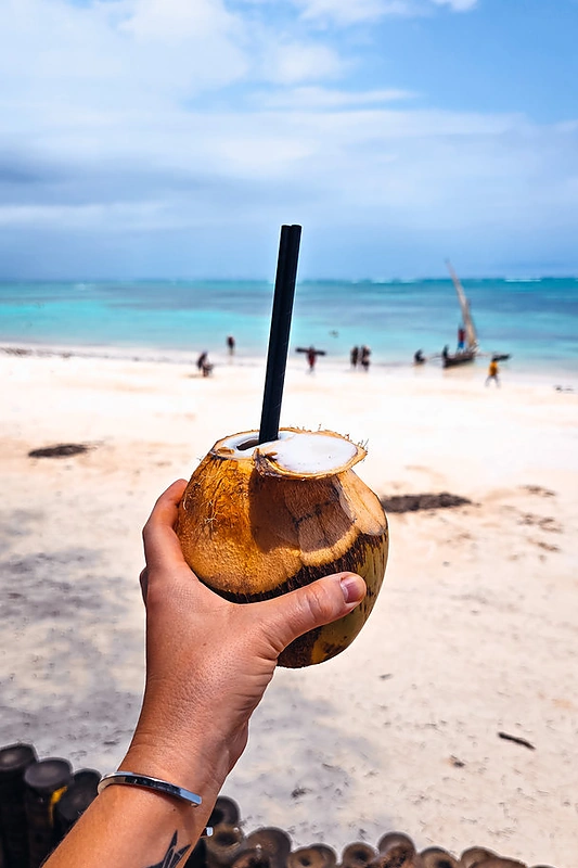 Saugirdo Vaitulionio kelionė į Zanzibarą / Asmeninio archyvo nuotr.