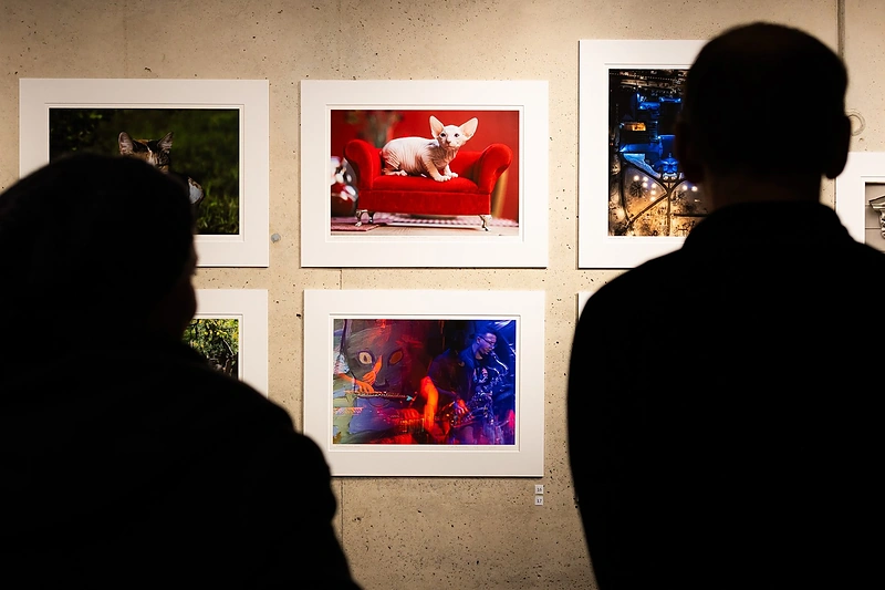 Atidaryta Fotografės Gretos Skaraitienės mini paroda „Katės“ / Asmeninio archyvo nuotr.