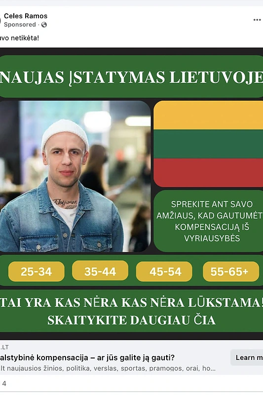 Įraše su Vido Bareikio atvaizdu - kalbos, korektūros ir logikos klaidos / Ekrano nuotr.