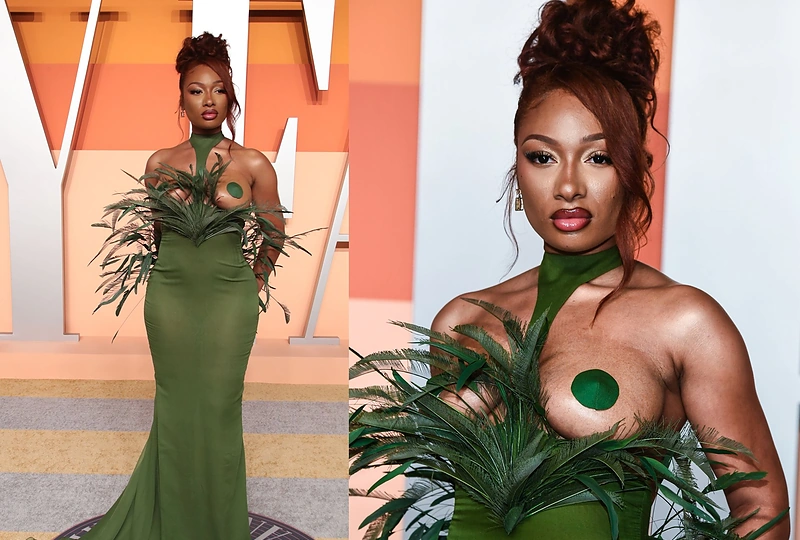 Megan Thee Stallion / Vida Press nuotr.