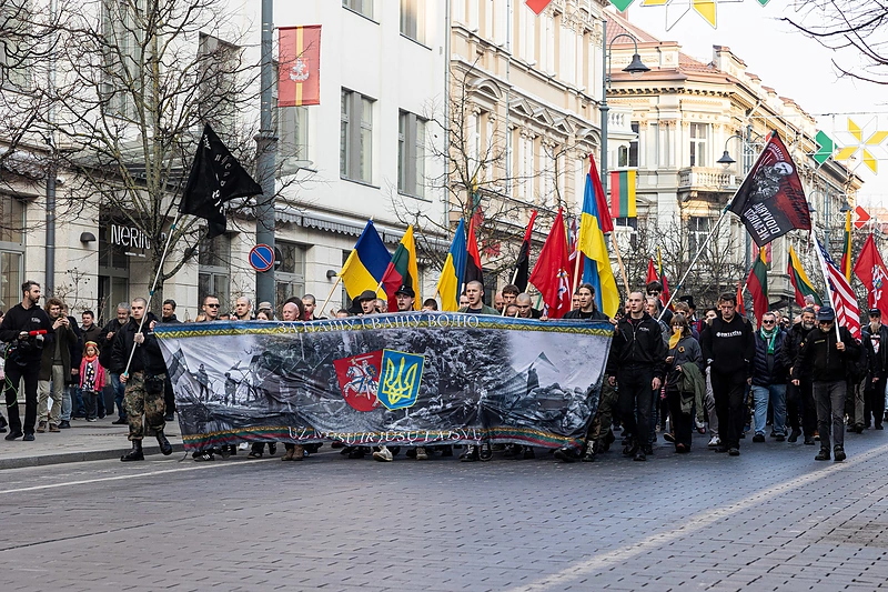 Patriotinės eitynės / Pauliaus Peleckio / BNS nuotr.
