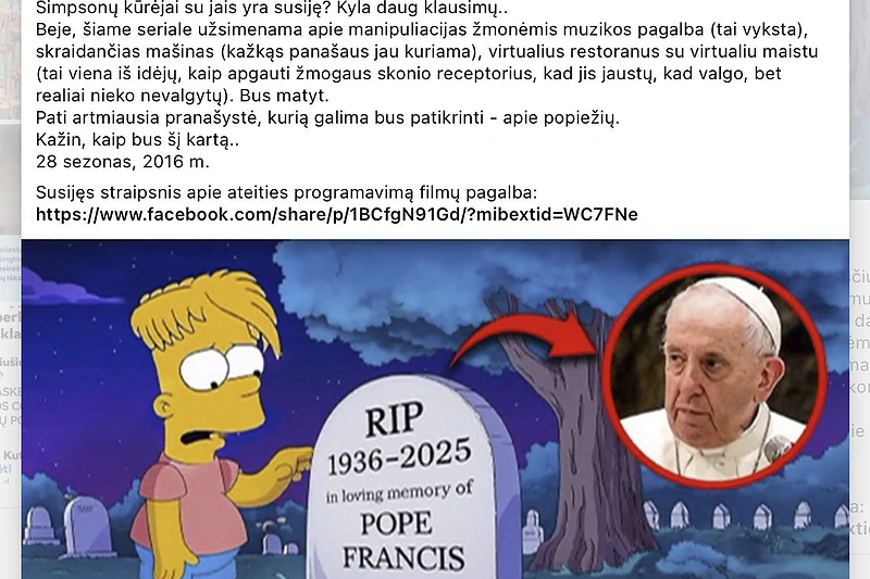 Tokio kadro „Simpsonuose“ nebuvo – jis sukurtas kompiuteriu / Ekrano nuotr. iš „Facebook“
