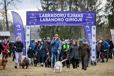 Labradorų ėjimas Labanoro girioje 2025 / Organizatorių nuotr.