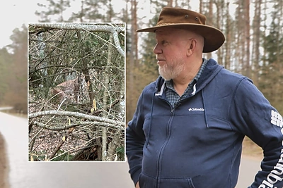 Neeilinė Vytaro Radzevičiaus akistata – akis į akį susidūrė su lūšimi: nustebino jos elgesys