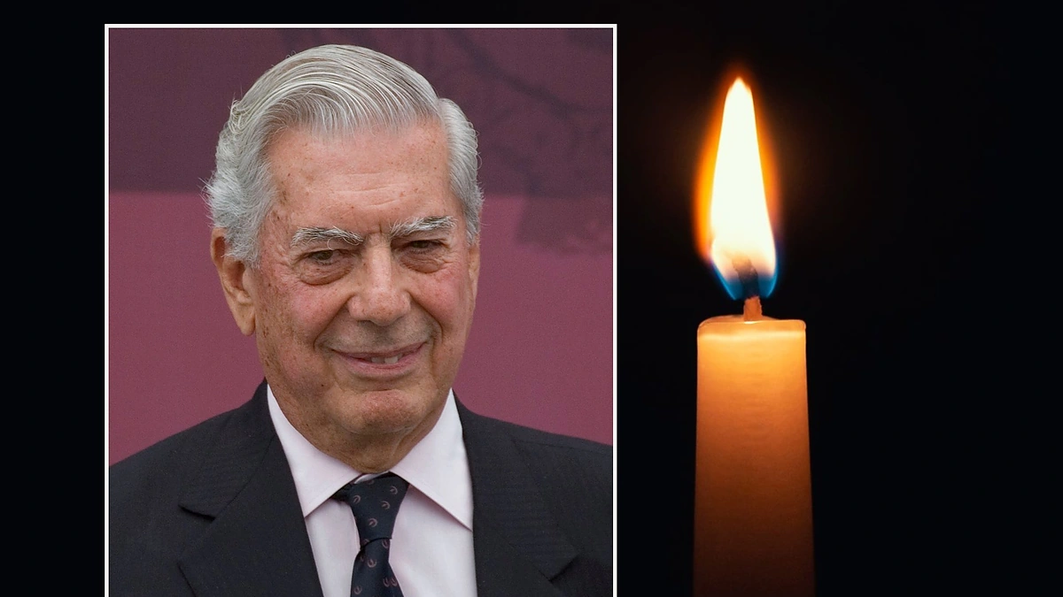 Mario Vargas Llosa / Shutterstock ir scanpix nuotr.