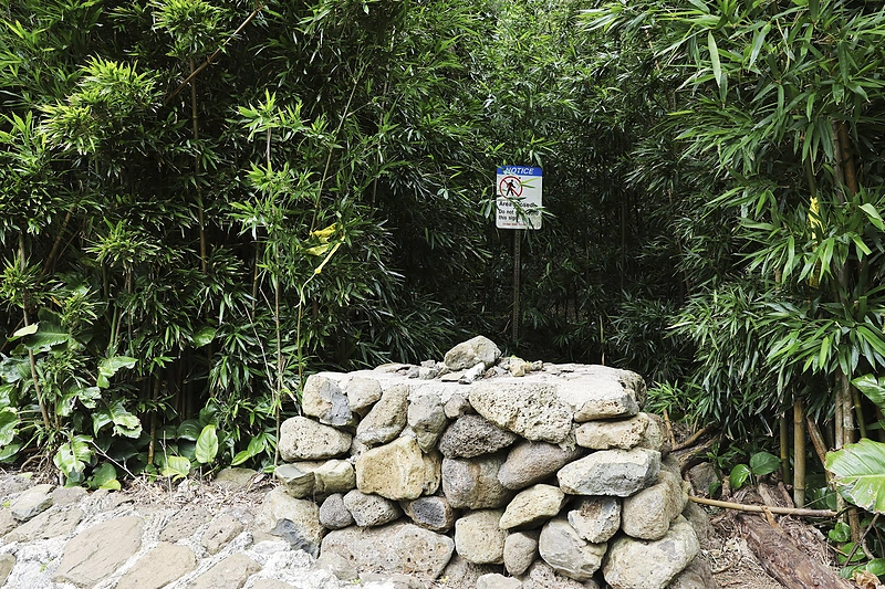Oahu Nu'uanu Pali apžvalgos aikštelė / „Scanpix“ nuotr.