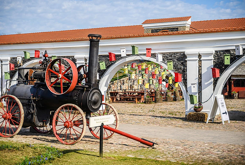 Velykinis stebuklas Pakruojo dvare prasidėjo: zuikiai atvyko į festivalį / Pakruojo dvaro nuotr.