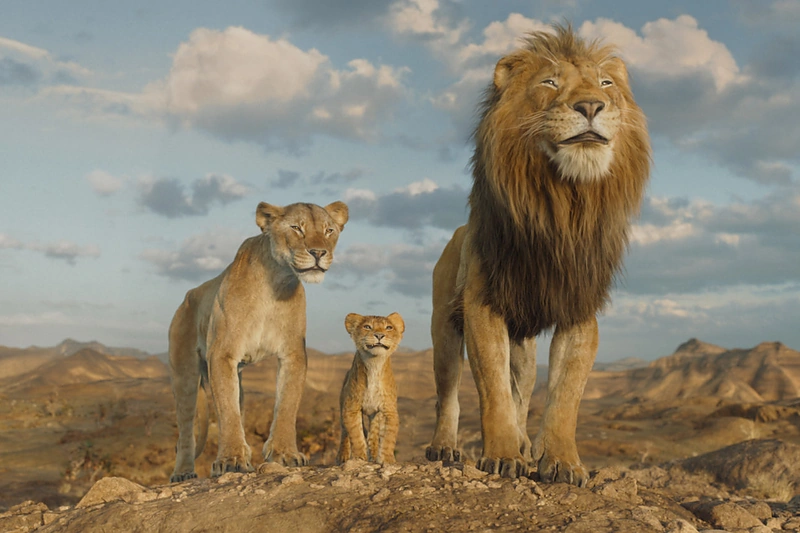 „Mufasa Liūtas karalius“, 2024 m. / „Telia“ nuotr.