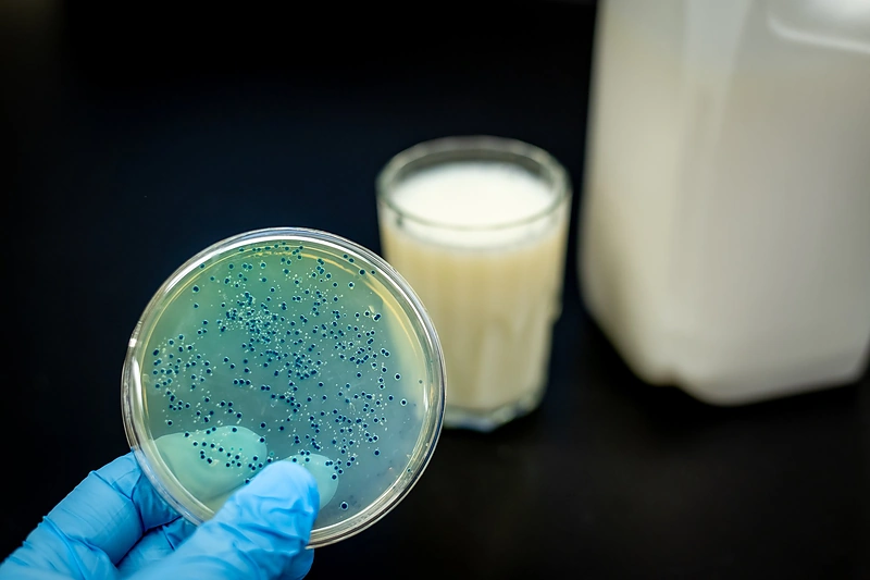 Kas yra postbiotikai ir kodėl jie svarbūs? / „Acorus Balance“ nuotr.