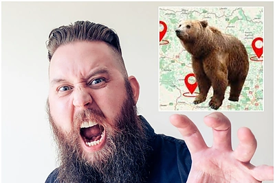 Grybautojų dėmesiui: ką daryti miške sutikus mešką?