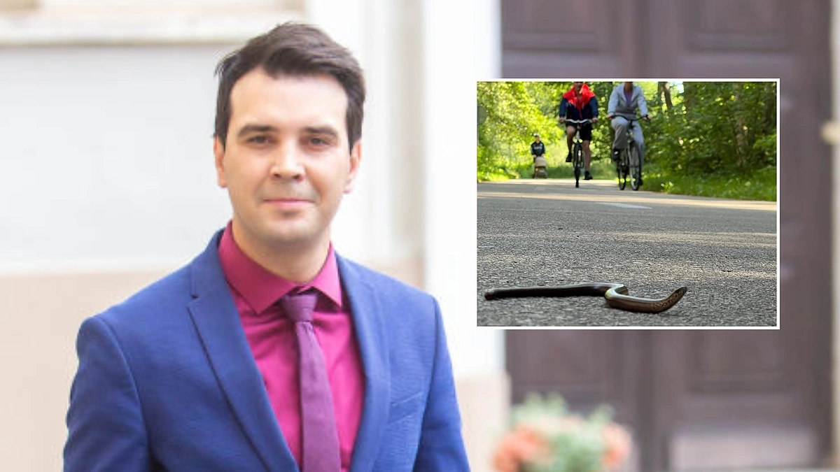 Paulius Skučas / Asmeninio archyvo nuotr. ir Josvydo Elinsko nuotr.