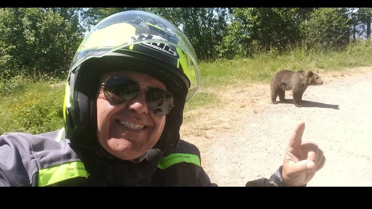 Motociklininko asmenukė su meška / Socialinių tinklų nuotrauka