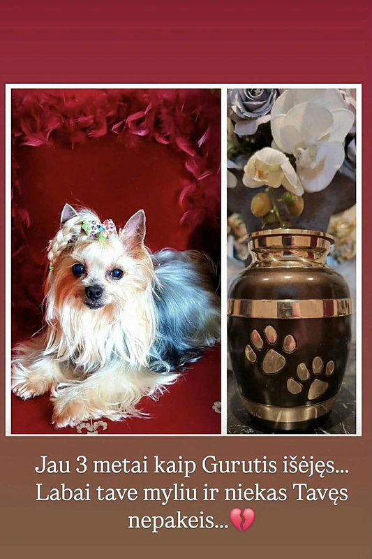 Ryčio Cicino augintinis / Instagramo nuotr.