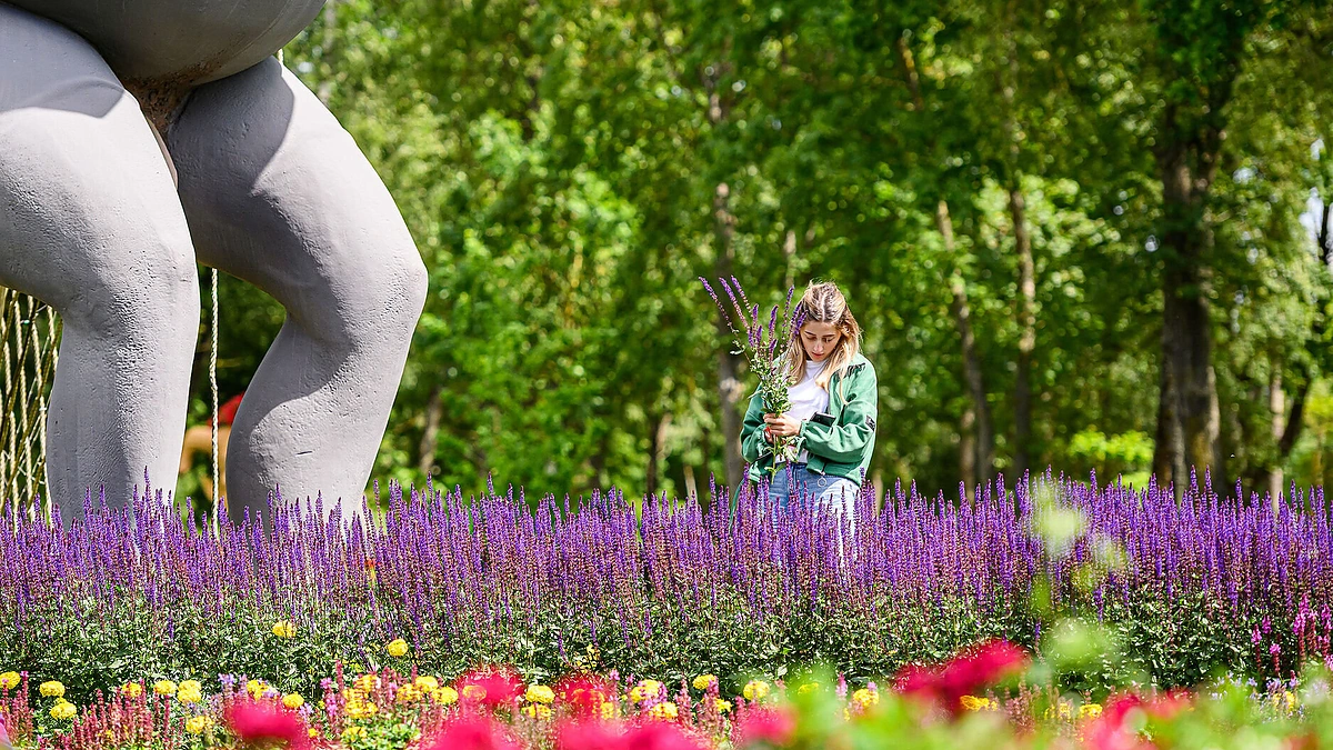 Gėlės–kurtizanės Pakruojo dvare / Pakruojo dvaro nuotr.