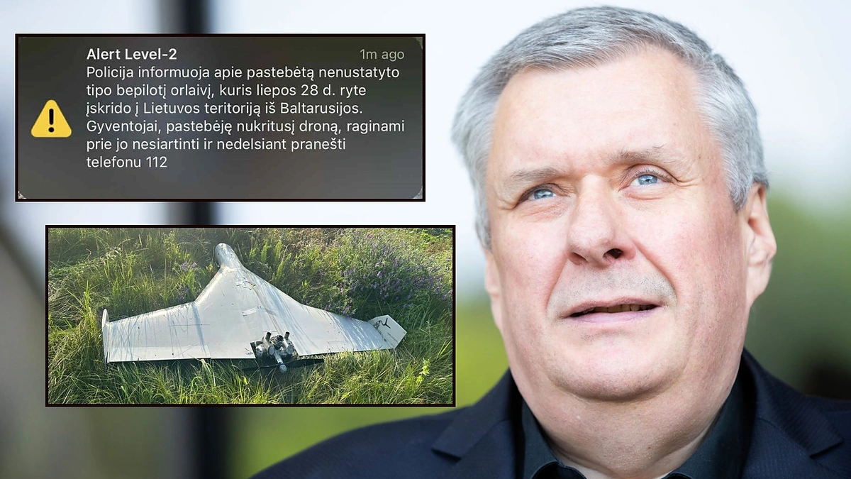 Haroldas Mackevičius / Žygimanto Gedvilos, Atvirų šaltinių nuotr.