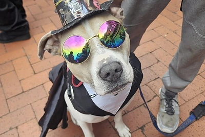 Ozzy Osbourne laidotuvės / Vida Press nuotr.