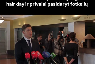 Memai apie Ingą Ruginienę / „Aletumeme“ nuotr.