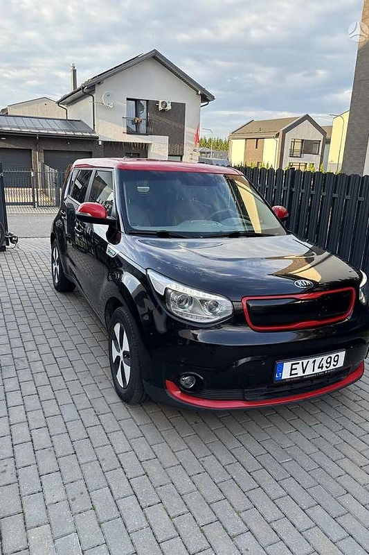 Baibos Skurstenes-Serdiukės parduodamas elektromobilis / Asmeninio archyvo nuotr.