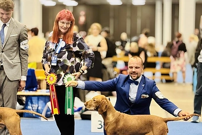 Keno Kačio augintinė Lulu suspindo pasaulinėje šunų parodoje / Asmeninio archyvo nuotr.