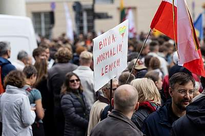 Protestas prieš valdančiąją koaliciją / Pauliaus Peleckio / BNS nuotr.