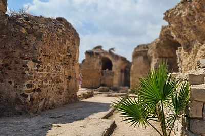 Edvardo Žičkus Tunise / Asmeninio albumo nuotr.