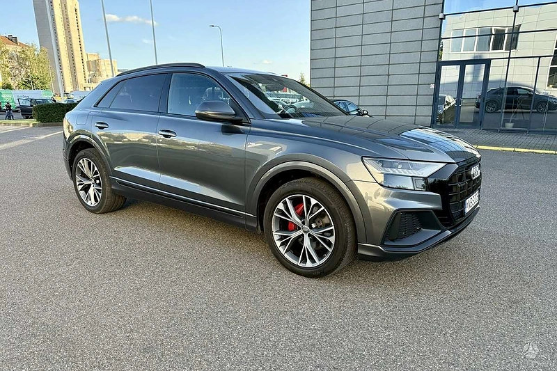 Dariaus Petrikausko parduodamas automobilis / autoplius.lt nuotr.